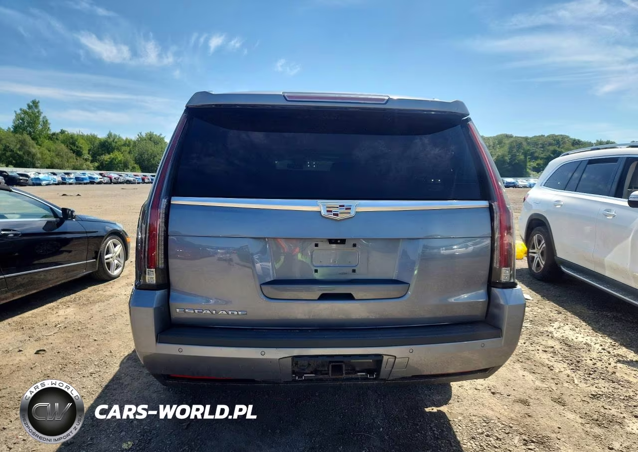 2019 Cadillac Escalade Esv Luxury VIN:1GYS4HKJ6KR318957 - 6