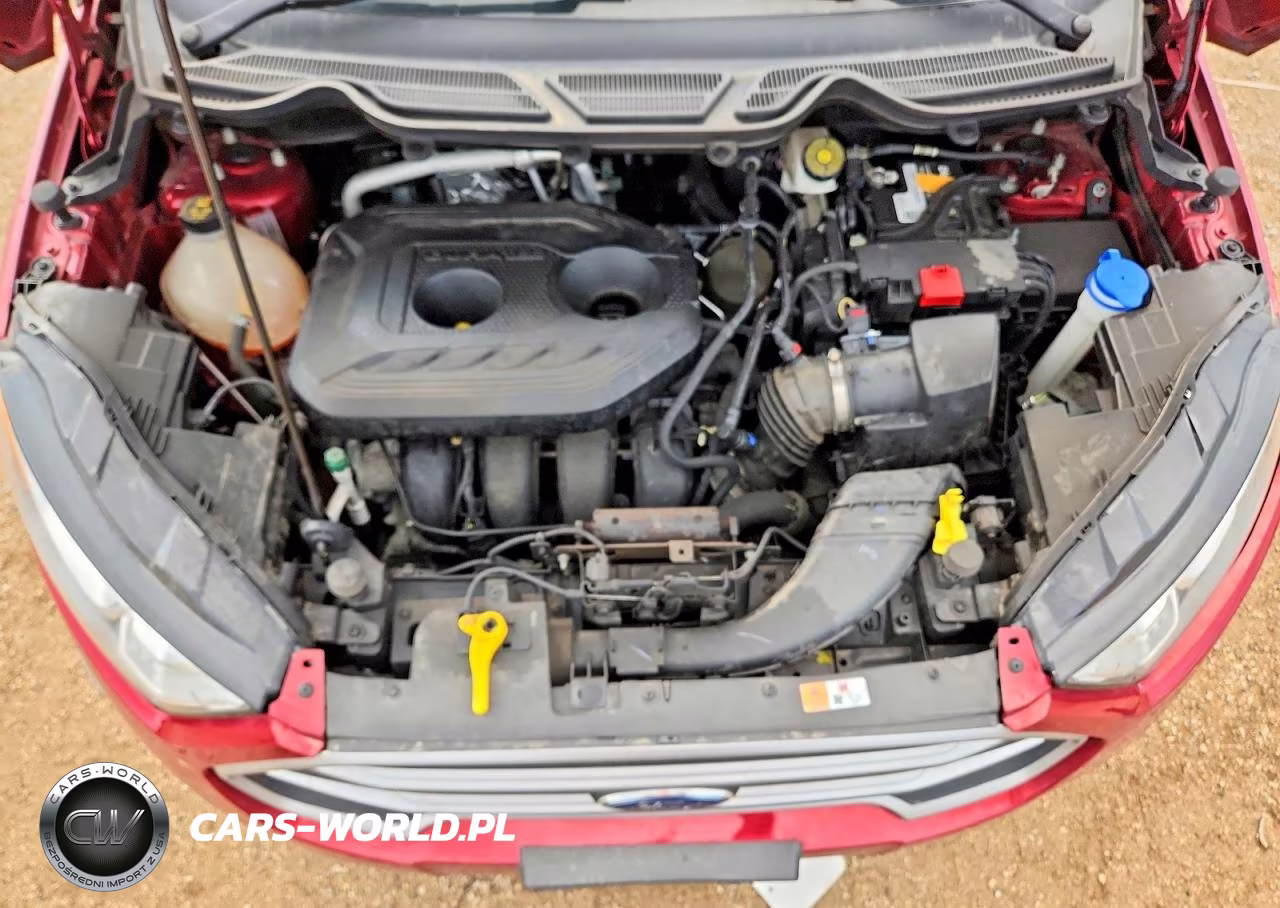 2020 Ford Ecosport Se VIN:MAJ6S3GL4LC390079 - 11