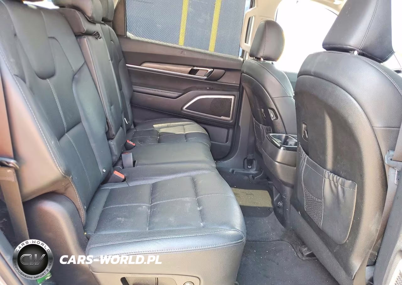 2020 Kia Telluride Ex VIN:5XYP34HC9LG049160 - 11