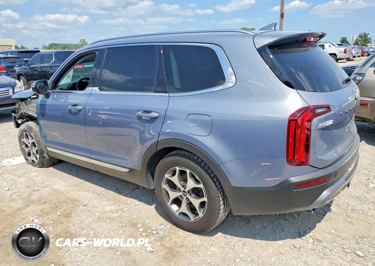 2020 Kia Telluride Ex VIN:5XYP34HC9LG049160 - 2