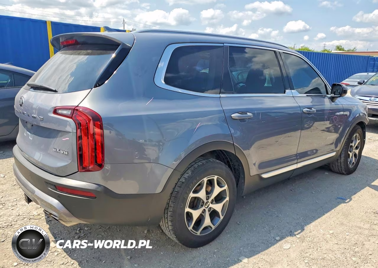 2020 Kia Telluride Ex VIN:5XYP34HC9LG049160 - 3