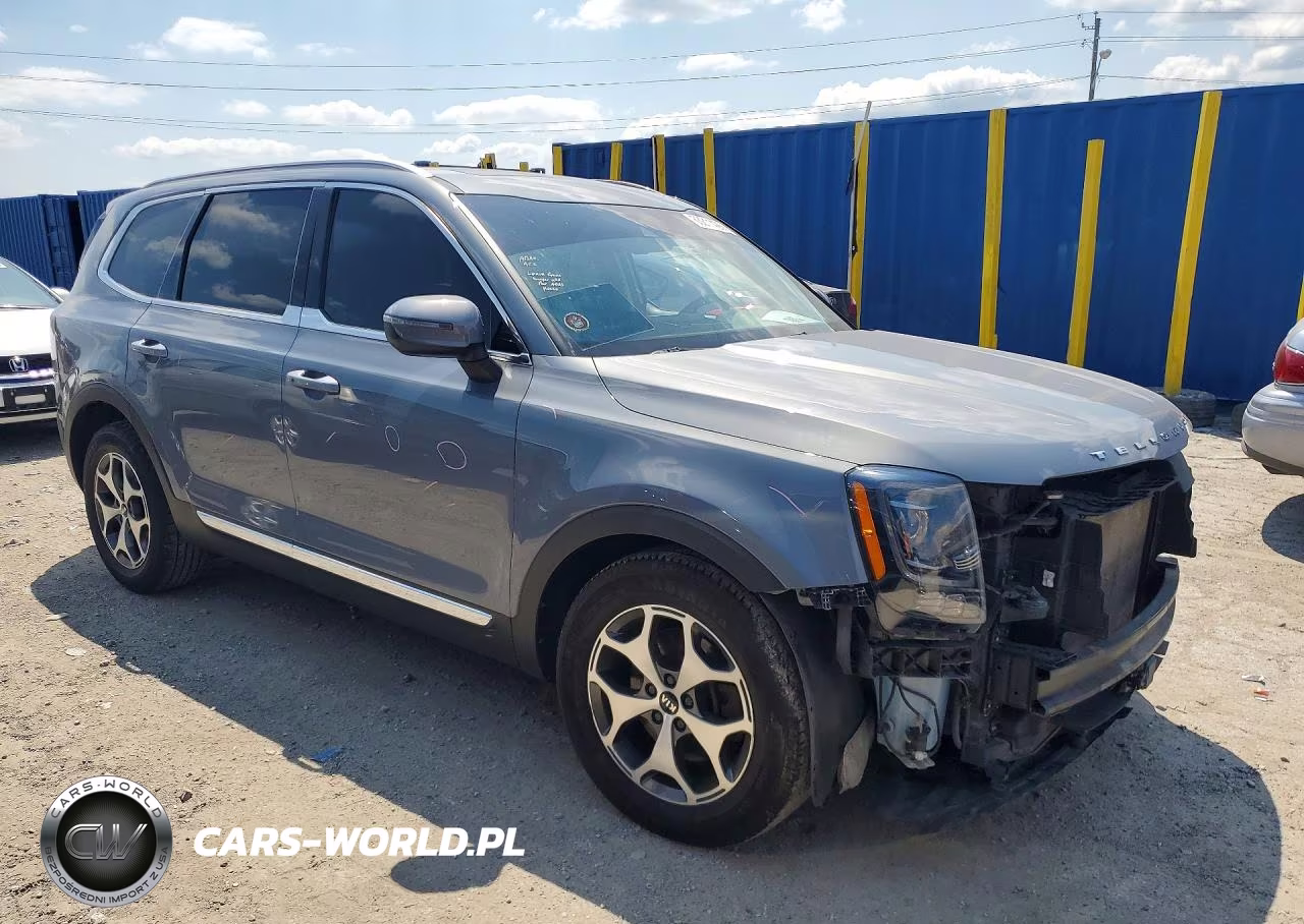 2020 Kia Telluride Ex VIN:5XYP34HC9LG049160 - 4