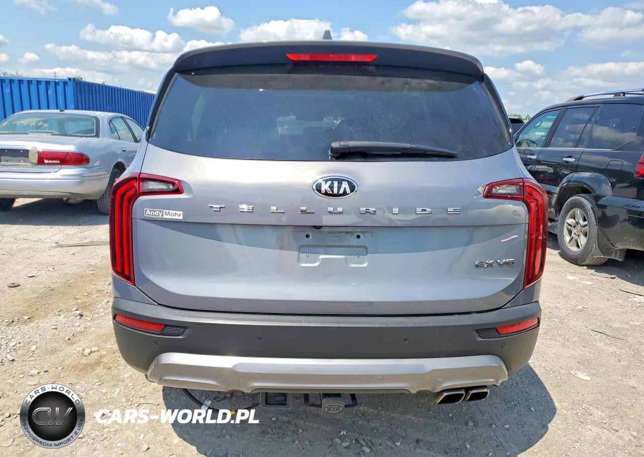 2020 Kia Telluride Ex VIN:5XYP34HC9LG049160 - 6
