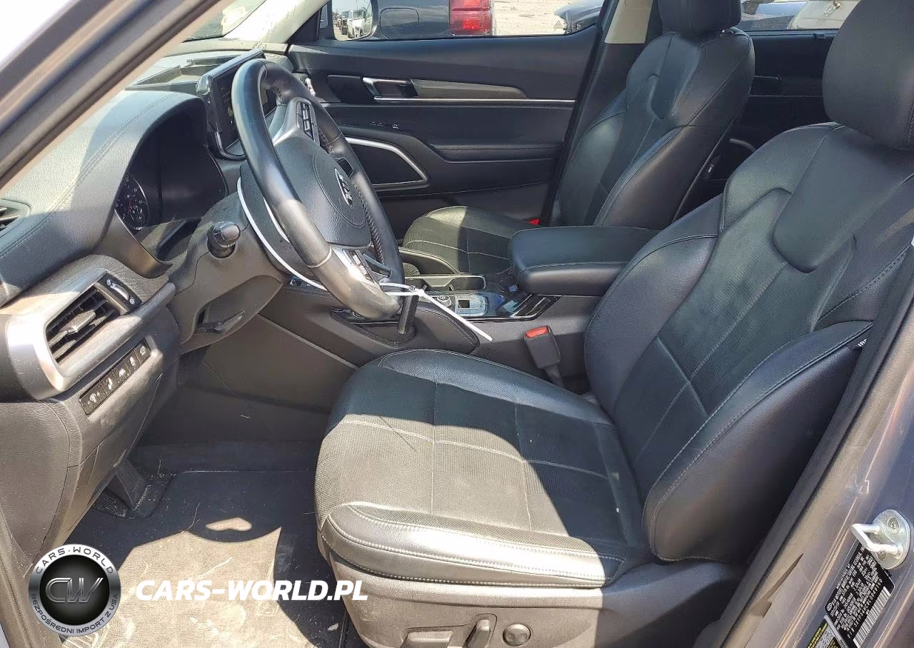 2020 Kia Telluride Ex VIN:5XYP34HC9LG049160 - 7