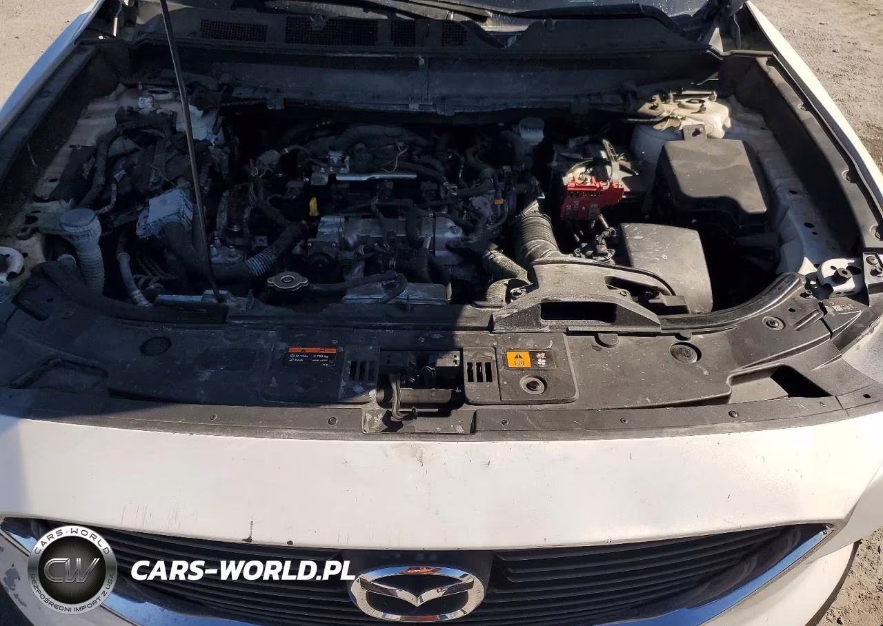 2017 Mazda Cx-9 Sport VIN:JM3TCBBY8H0139735 - 12