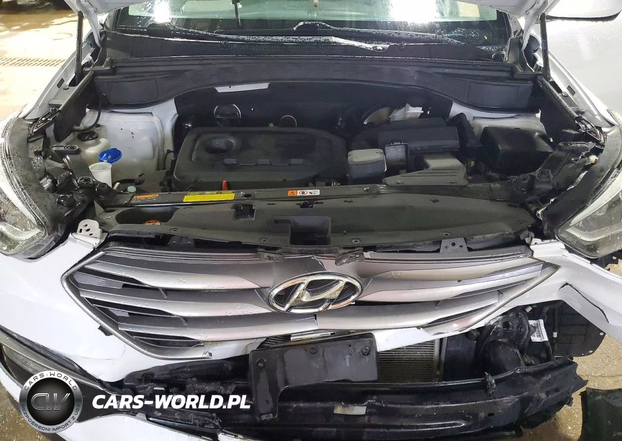 2017 Hyundai Santa Fe Sport 2.4L VIN:5NMZUDLB2HH028796 - 12