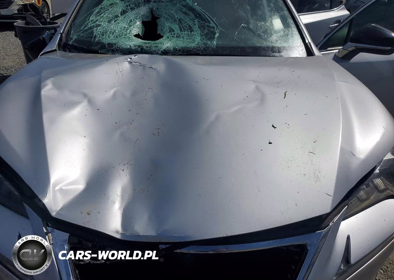 2015 Lexus Nx 200T VIN:JTJBARBZXF2032387 - 12