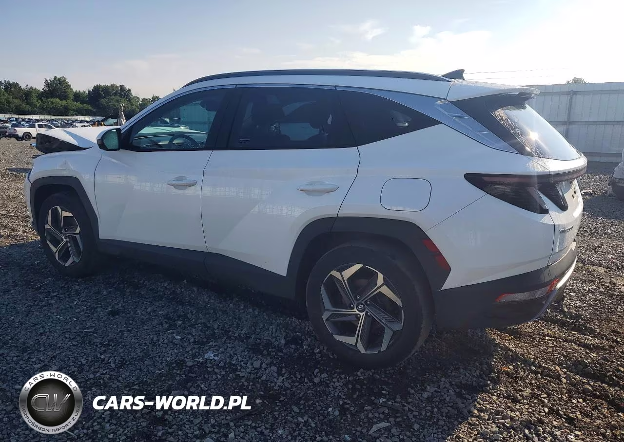 2024 Hyundai Tucson Limited VIN:KM8JECD10RU241021 - 2
