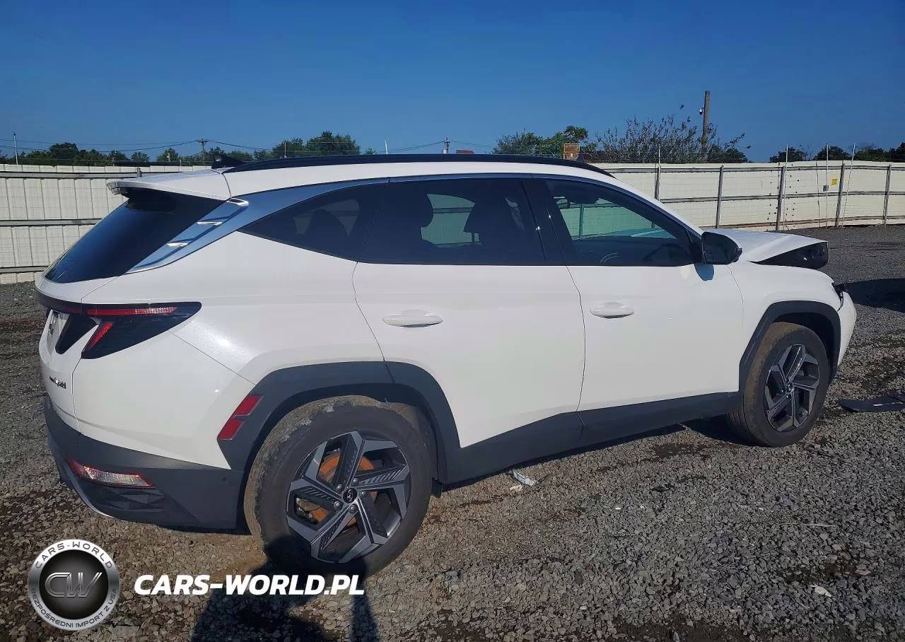 2024 Hyundai Tucson Limited VIN:KM8JECD10RU241021 - 3