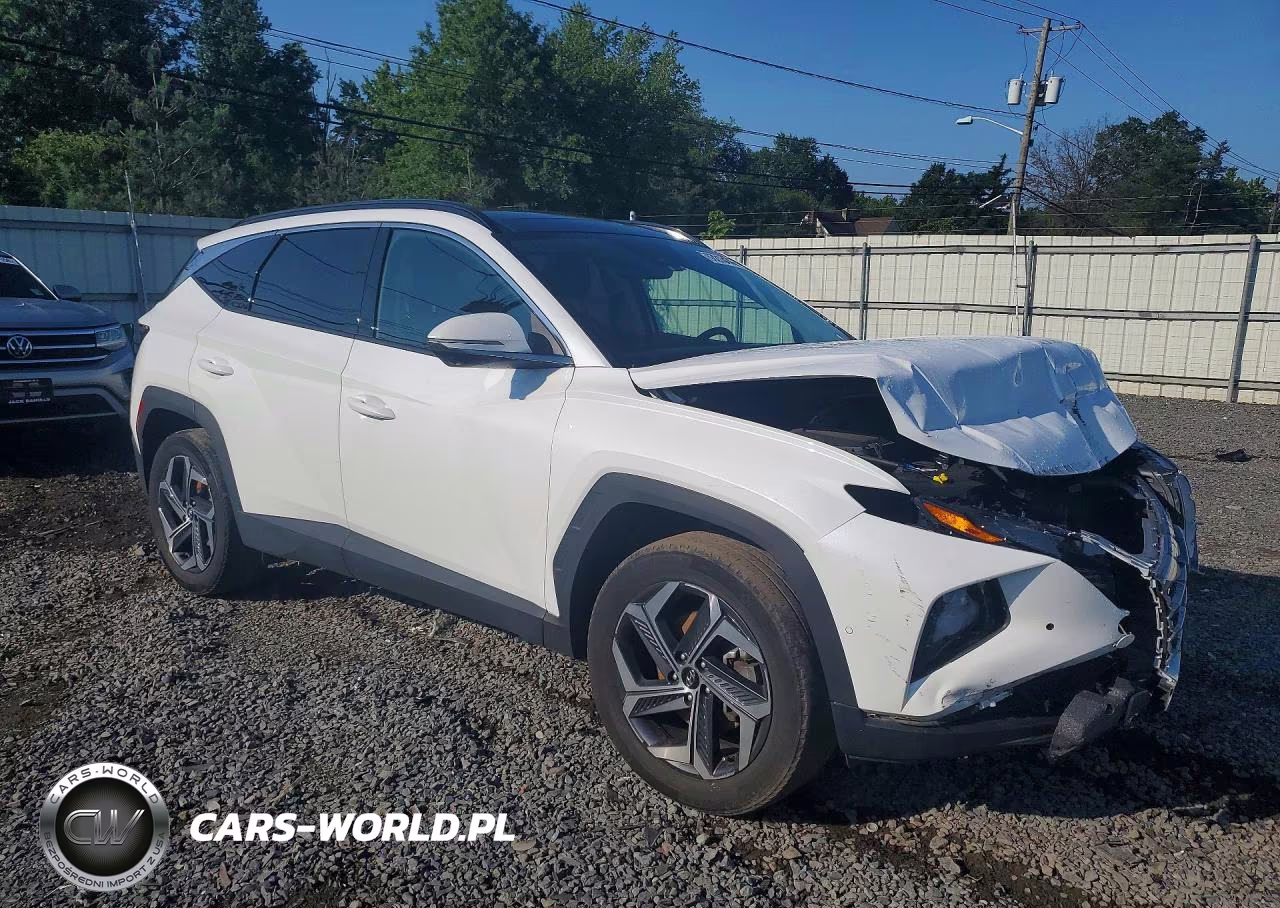 2024 Hyundai Tucson Limited VIN:KM8JECD10RU241021 - 4