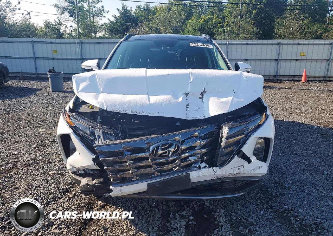 2024 Hyundai Tucson Limited VIN:KM8JECD10RU241021 - 5