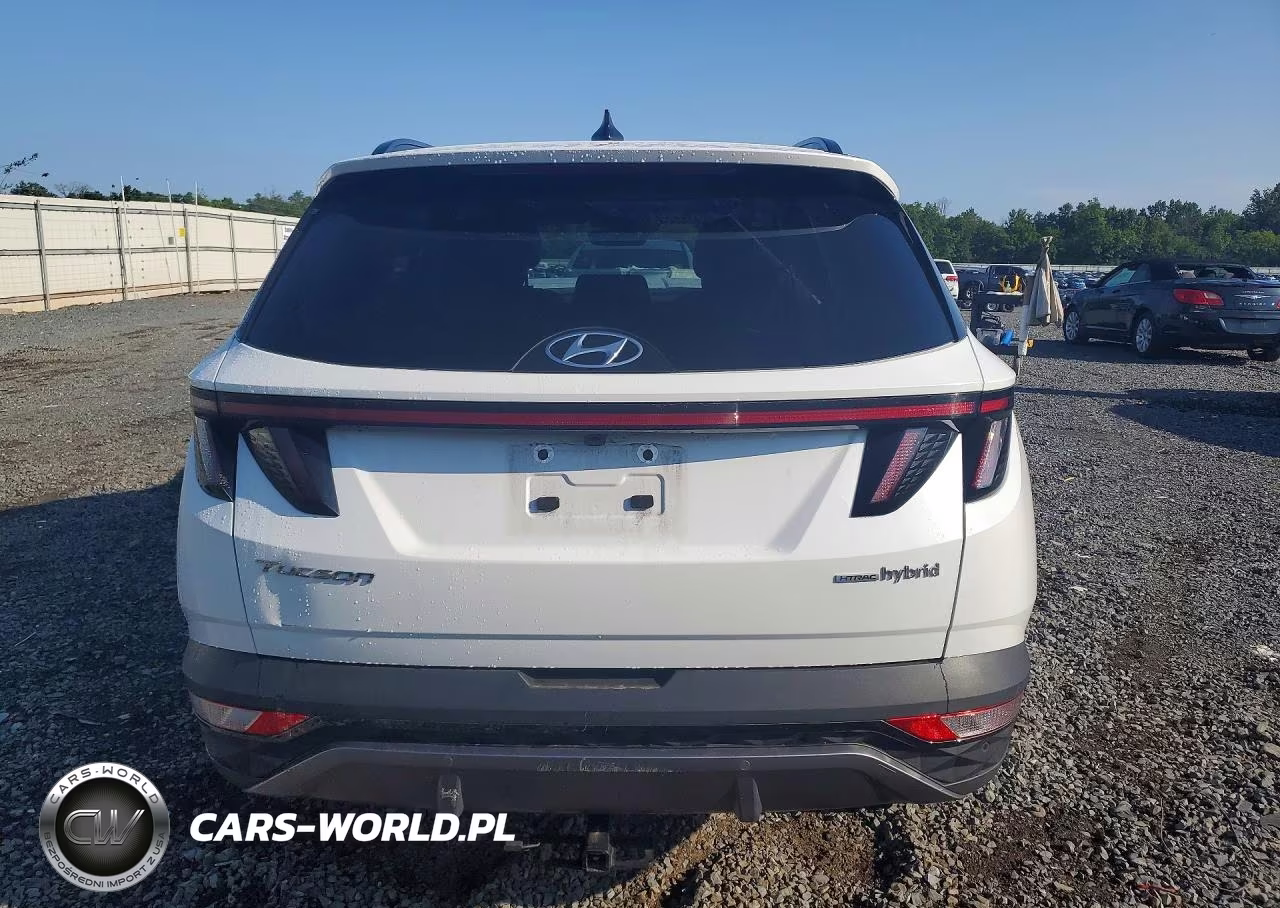 2024 Hyundai Tucson Limited VIN:KM8JECD10RU241021 - 6