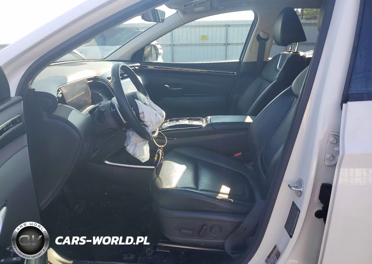 2024 Hyundai Tucson Limited VIN:KM8JECD10RU241021 - 7