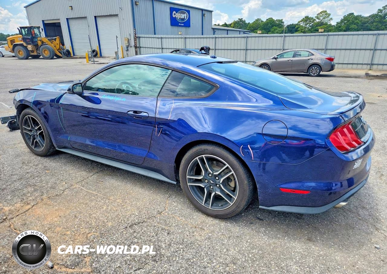 2019 Ford Mustang VIN:1FA6P8TH8K5133221 - 2
