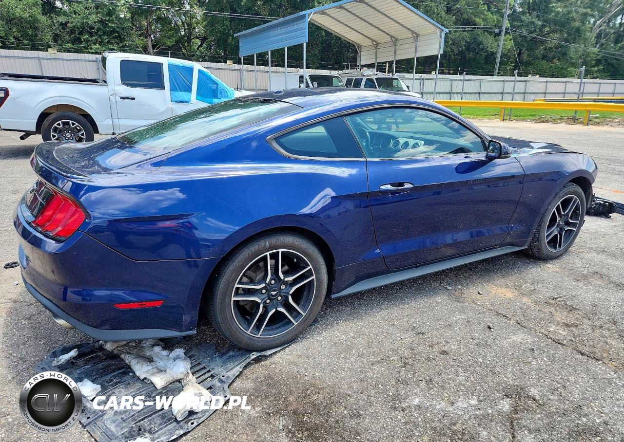 2019 Ford Mustang VIN:1FA6P8TH8K5133221 - 3