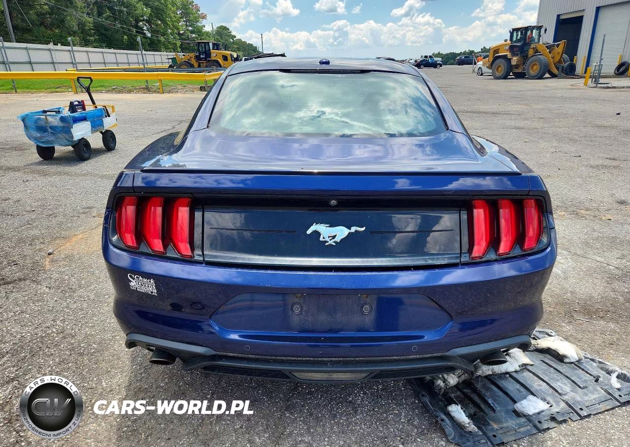 2019 Ford Mustang VIN:1FA6P8TH8K5133221 - 6