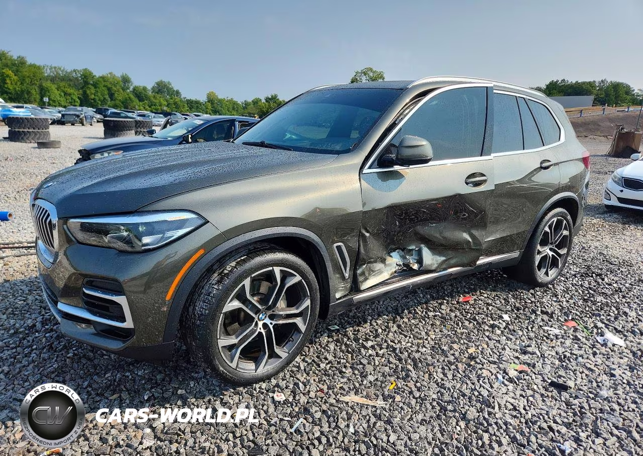 2022 BMW X5 Sdrive 40I VIN:5UXCR4C08N9M18782 - 1
