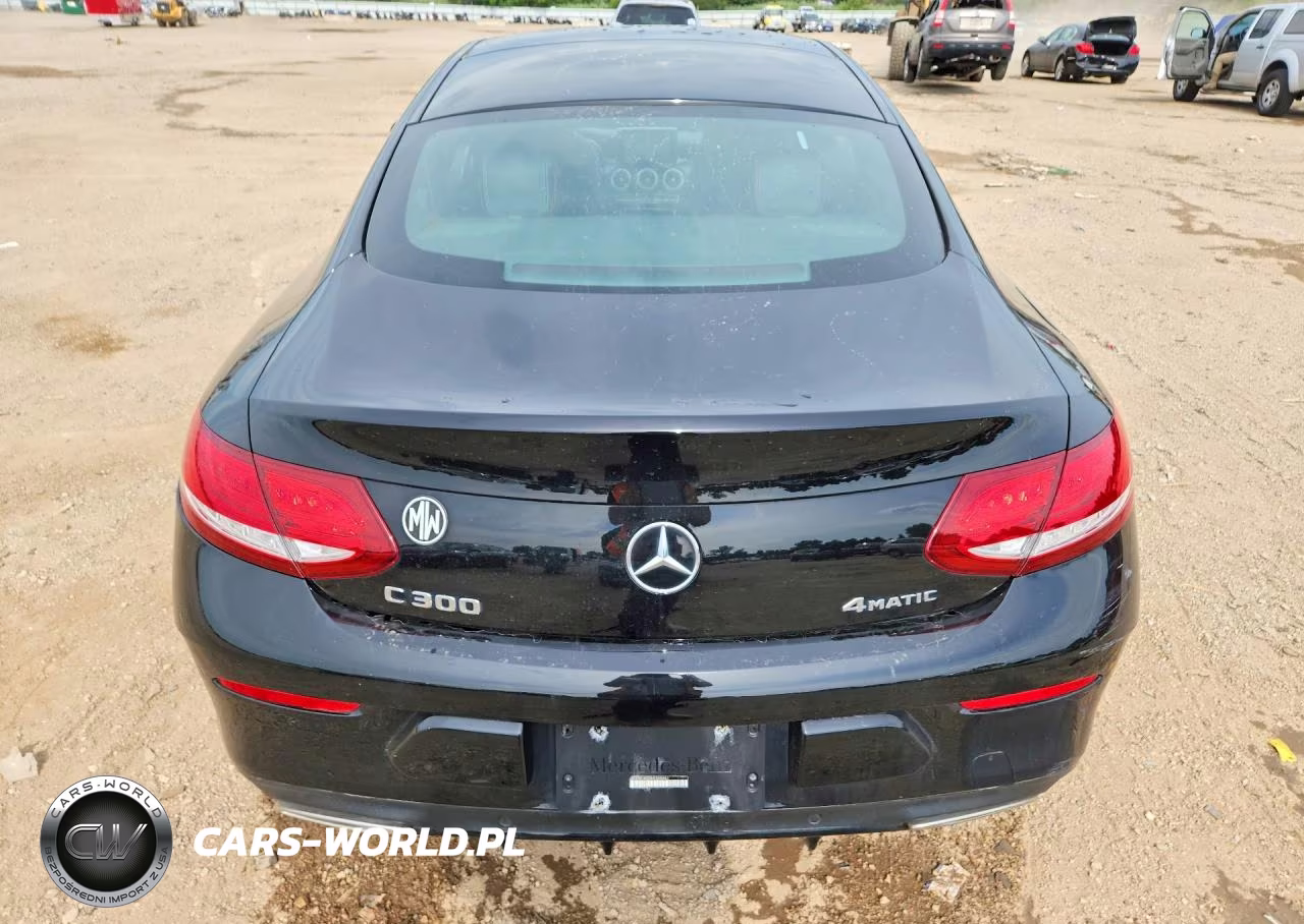 2017 Mercedes-Benz C 300 4Matic VIN:WDDWJ4KB8HF405941 - 6