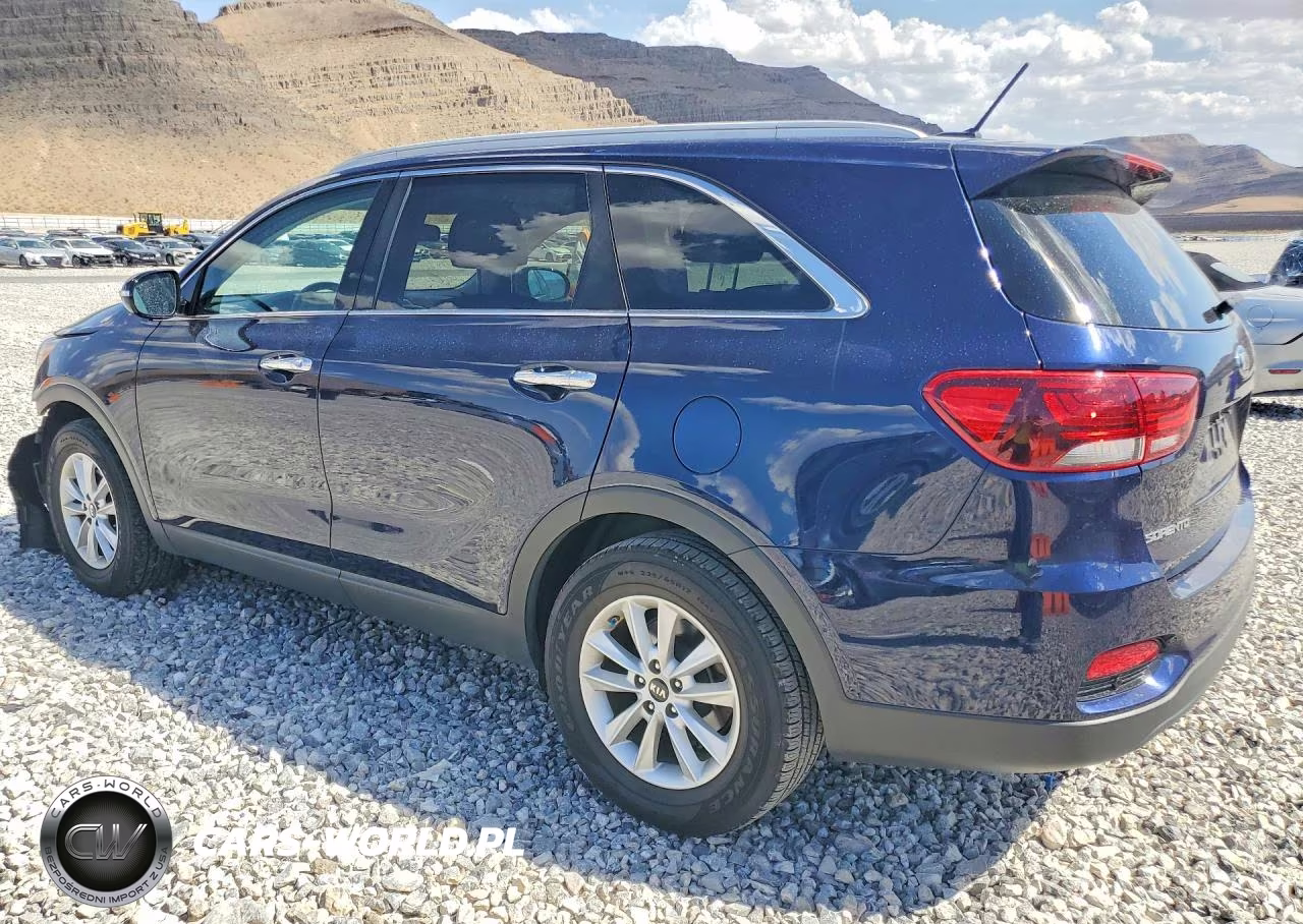 2020 Kia Sorento Lx VIN:5XYPG4A34LG698217 - 2