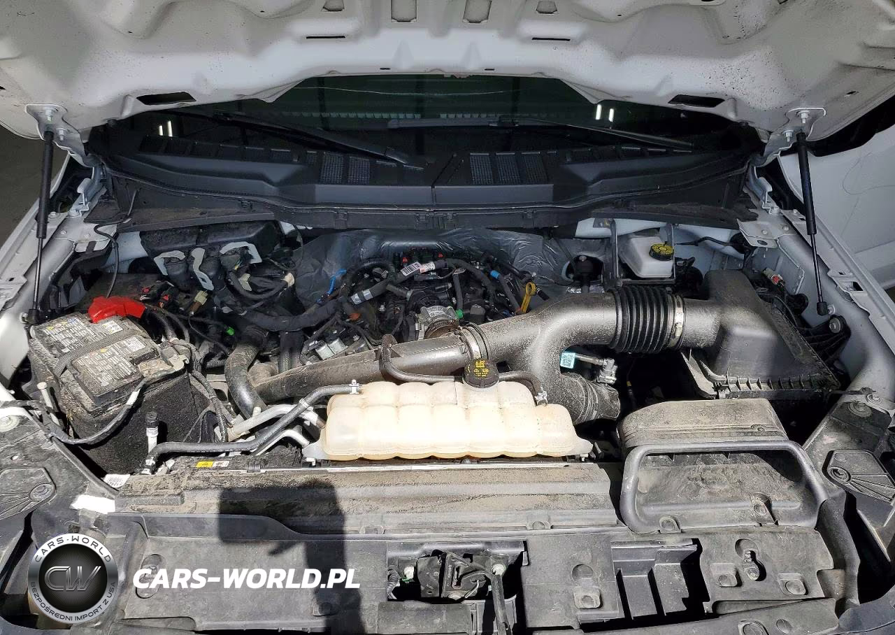2025 Ford F150 Stx VIN:1FTEW2LP0SKE57200 - 11