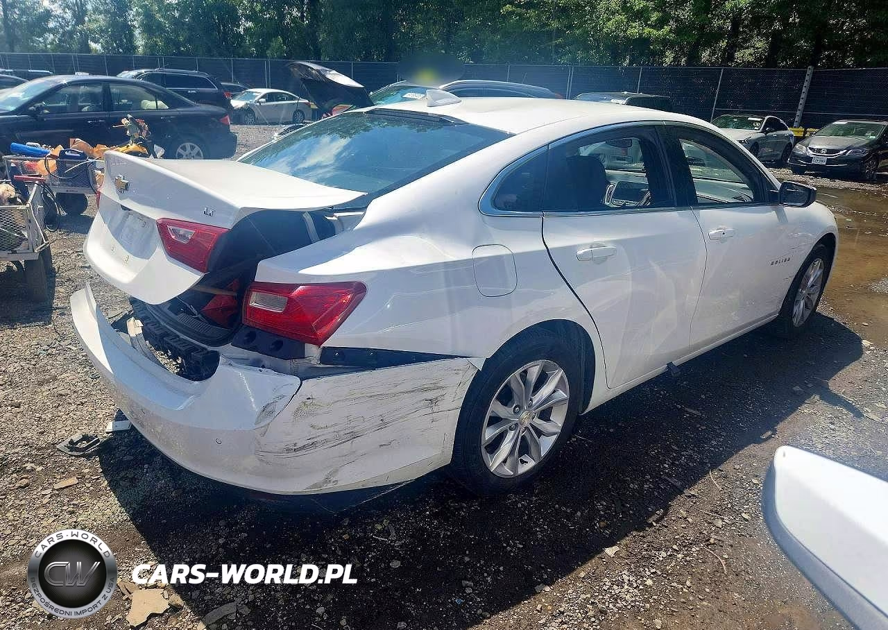 2023 Chevrolet Malibu Lt VIN:1G1ZD5ST6PF224356 - 3