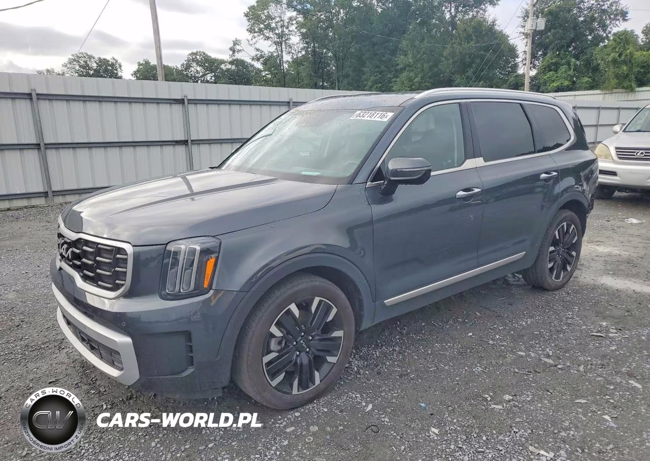 2024 Kia Telluride Sx-Prestige VIN:5XYP5DGC5RG411781 - 1