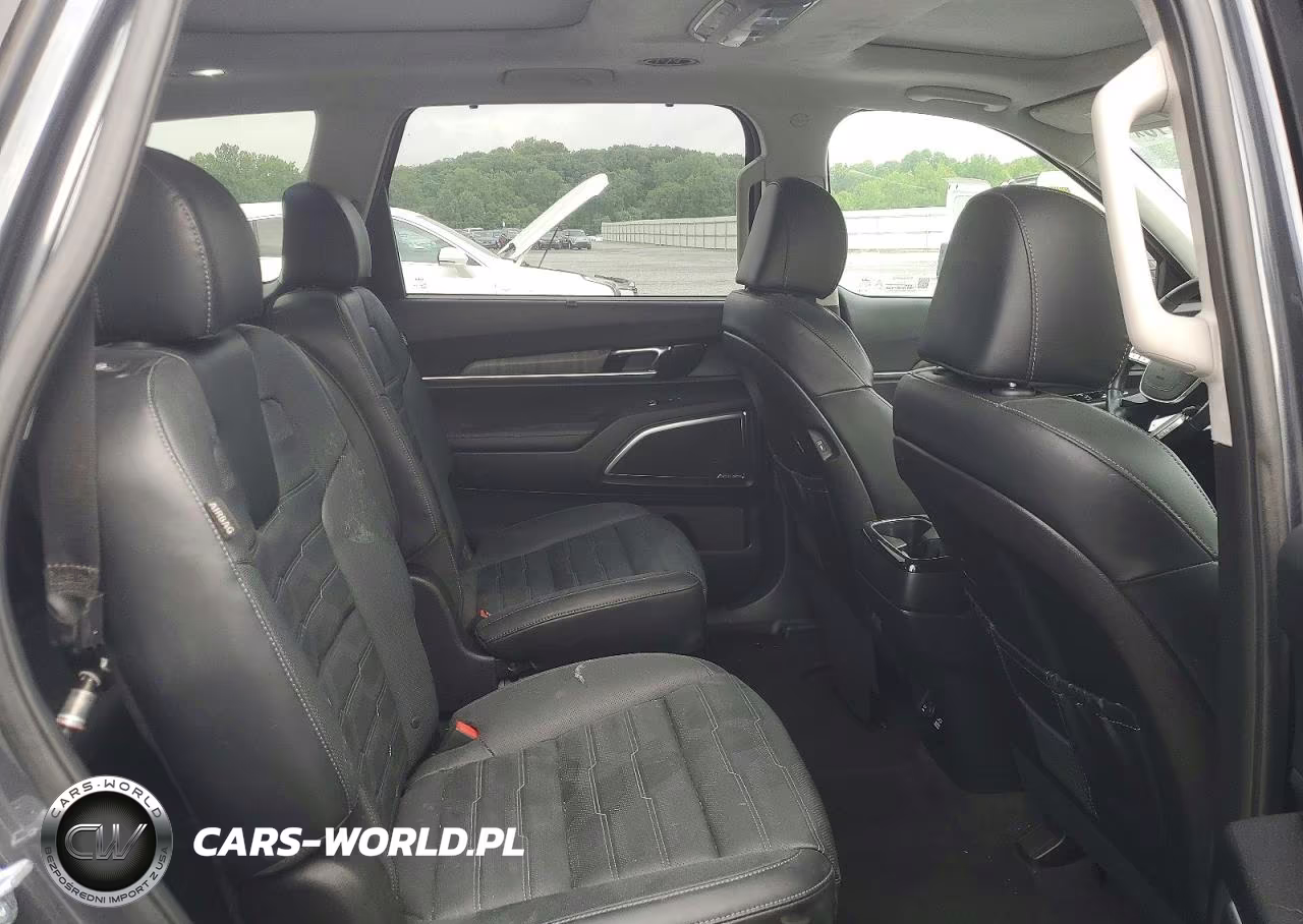 2024 Kia Telluride Sx-Prestige VIN:5XYP5DGC5RG411781 - 11