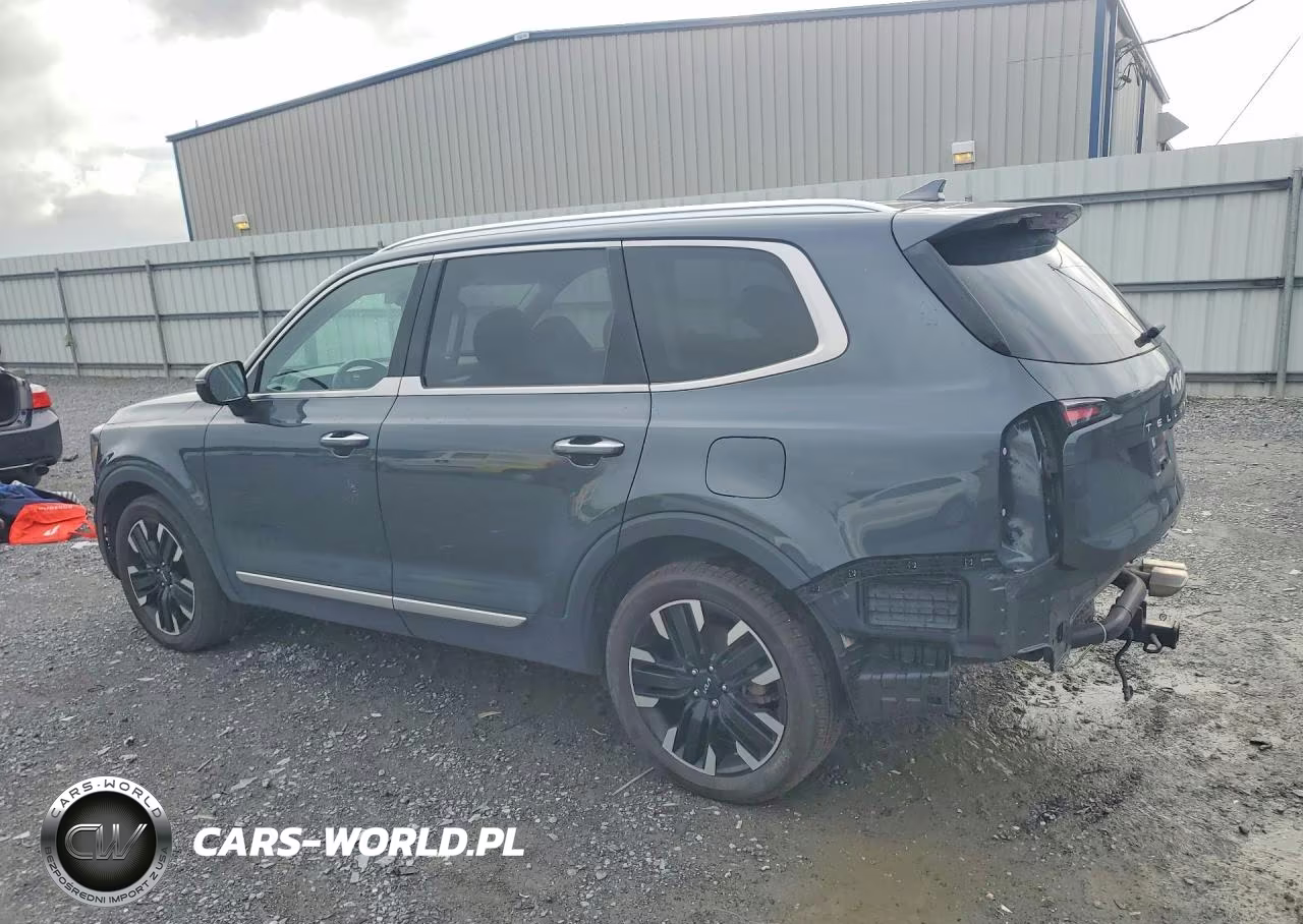 2024 Kia Telluride Sx-Prestige VIN:5XYP5DGC5RG411781 - 2