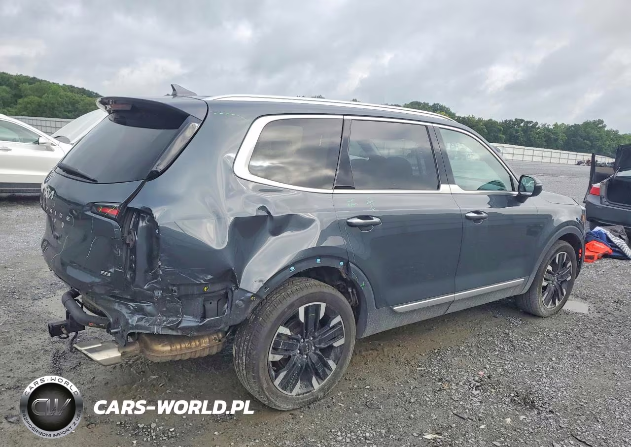 2024 Kia Telluride Sx-Prestige VIN:5XYP5DGC5RG411781 - 3