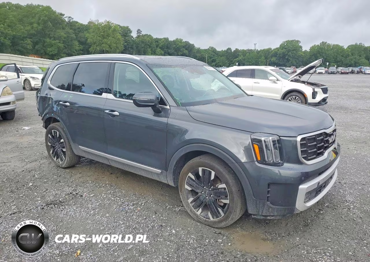 2024 Kia Telluride Sx-Prestige VIN:5XYP5DGC5RG411781 - 4