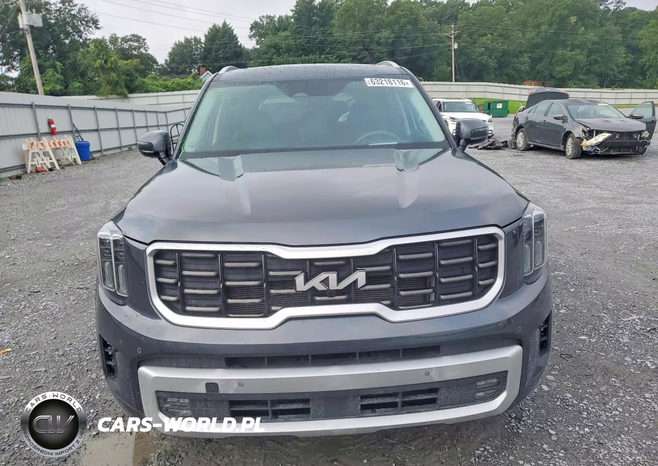 2024 Kia Telluride Sx-Prestige VIN:5XYP5DGC5RG411781 - 5