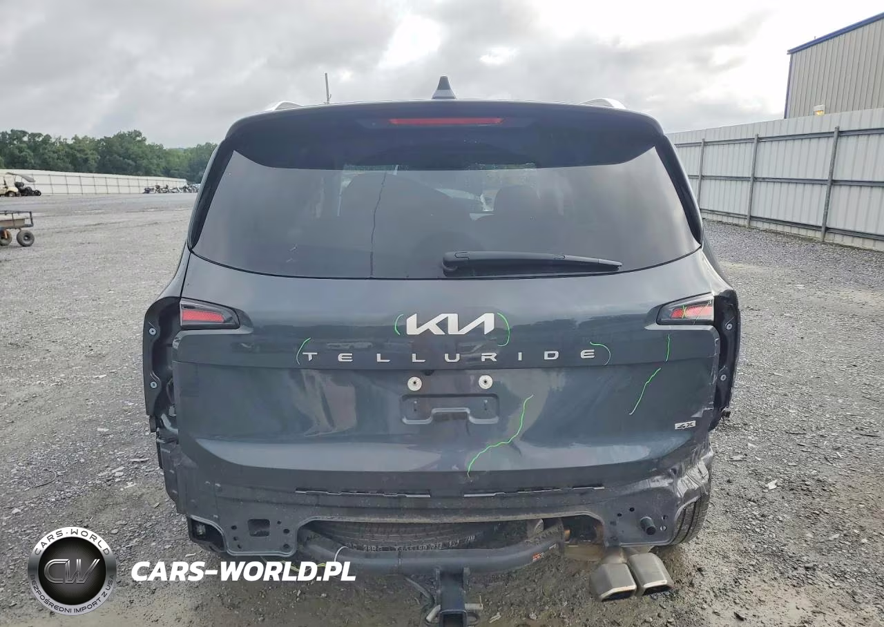 2024 Kia Telluride Sx-Prestige VIN:5XYP5DGC5RG411781 - 6