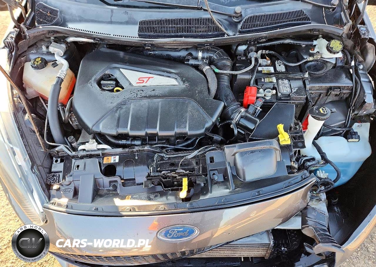 2017 Ford Fiesta St VIN:3FADP4GX9HM137427 - 11