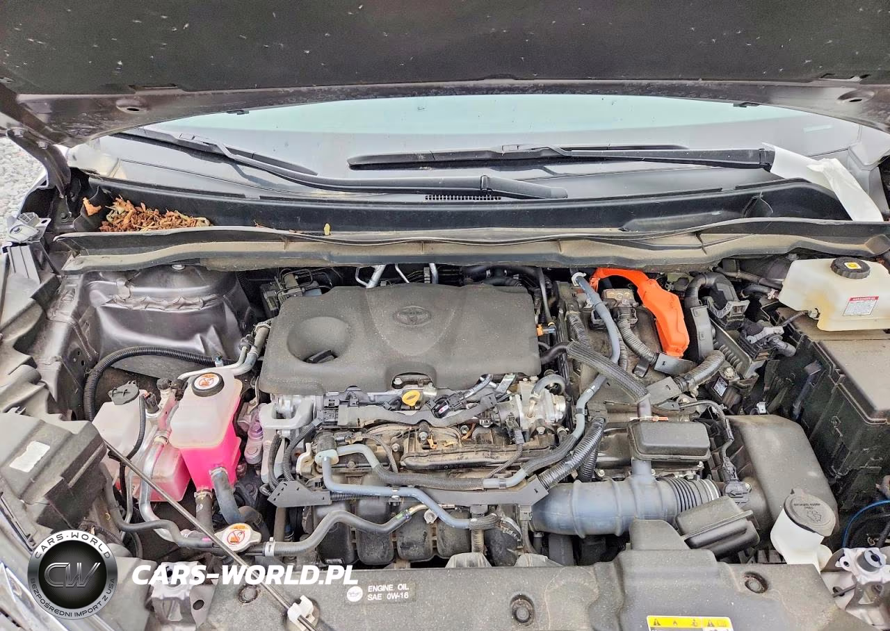 2022 Toyota Sienna Xle VIN:5TDYSKFC5NS072858 - 12
