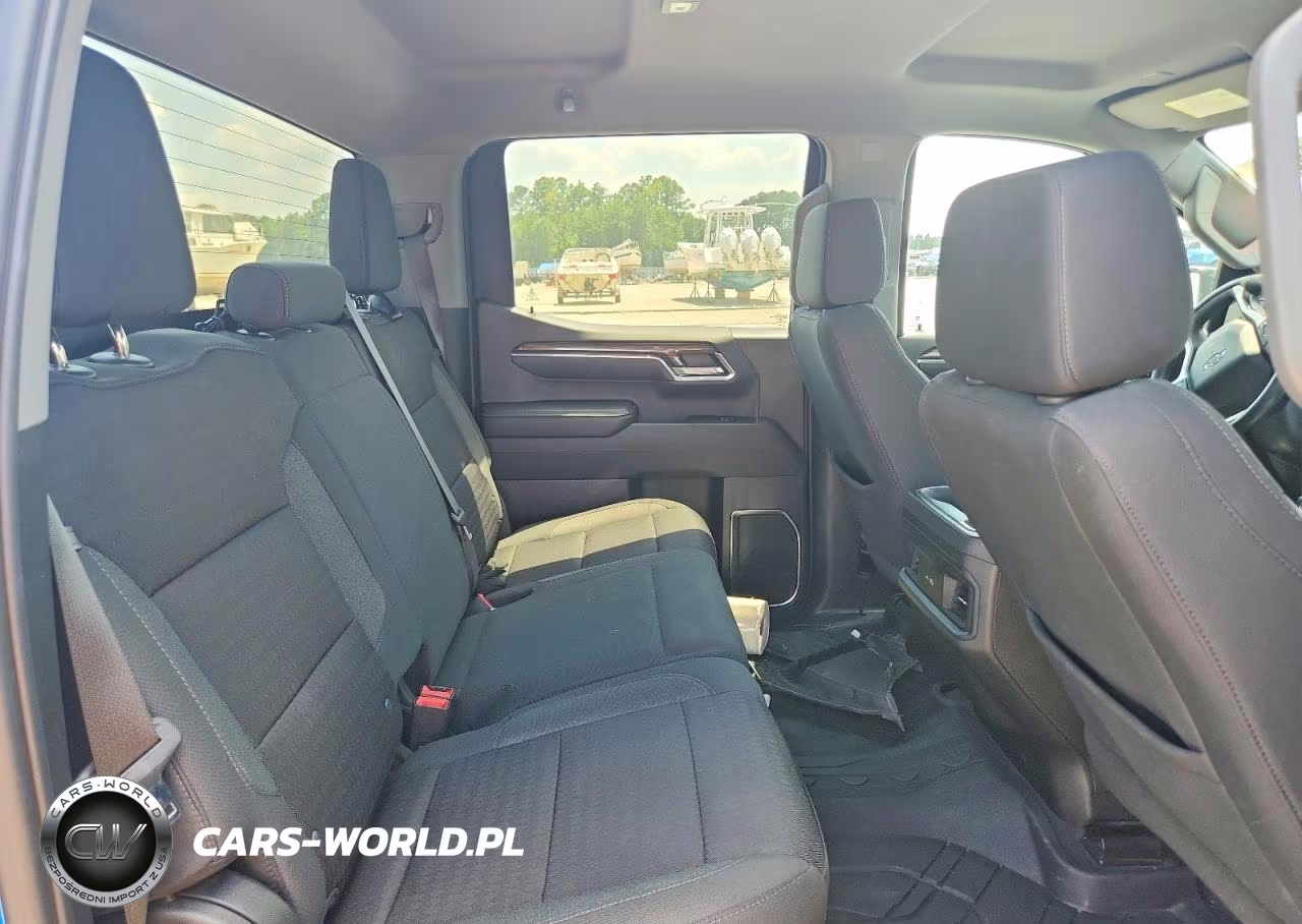 2023 Chevrolet Silverado K1500 Rst VIN:1GCUDEED7PZ110015 - 10
