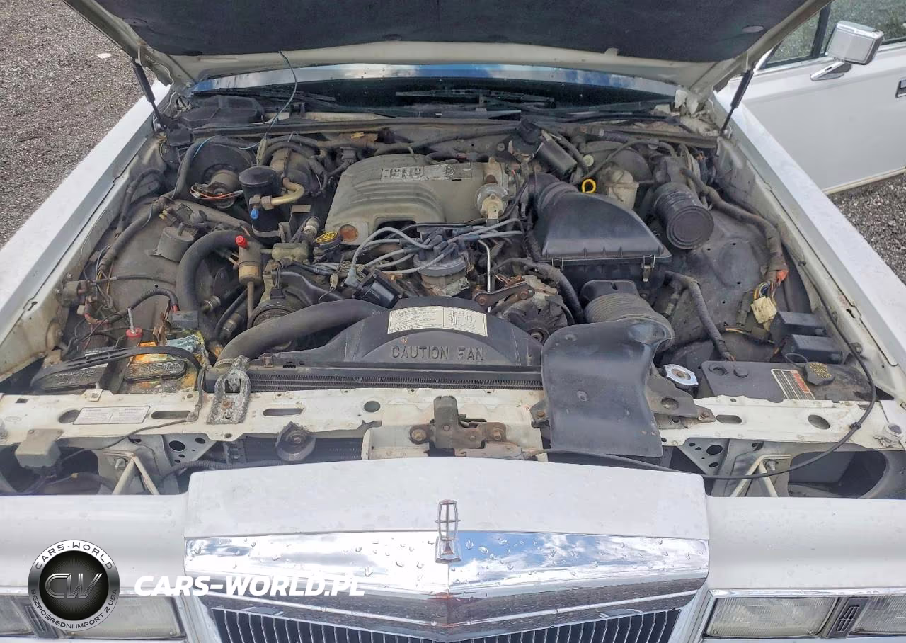 1989 Lincoln Town Car Signature VIN:1LNBM82F5KY797066 - 11