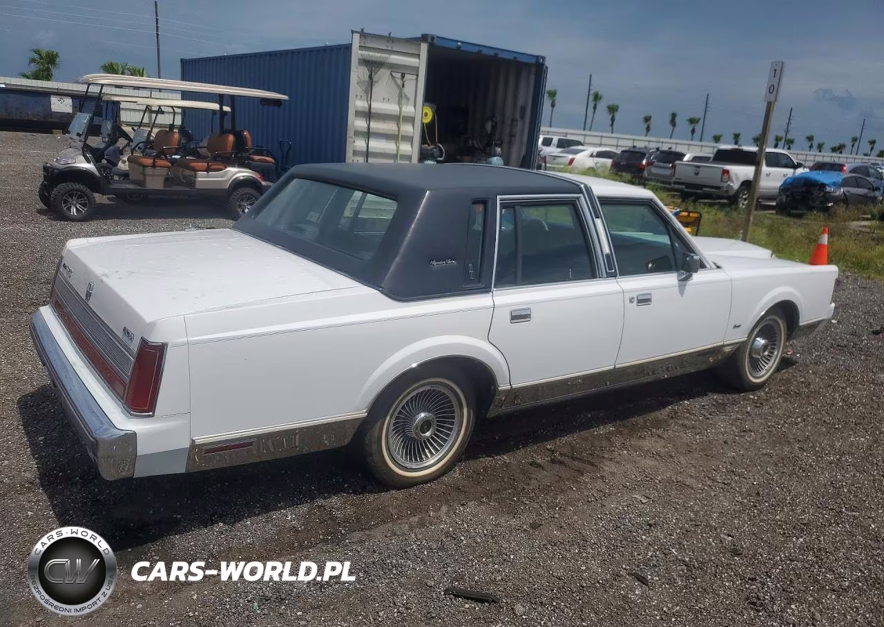 1989 Lincoln Town Car Signature VIN:1LNBM82F5KY797066 - 3