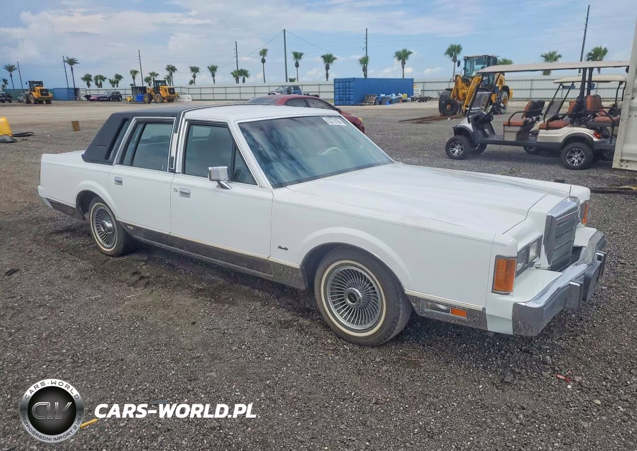 1989 Lincoln Town Car Signature VIN:1LNBM82F5KY797066 - 4
