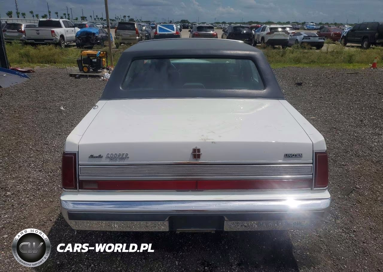 1989 Lincoln Town Car Signature VIN:1LNBM82F5KY797066 - 6