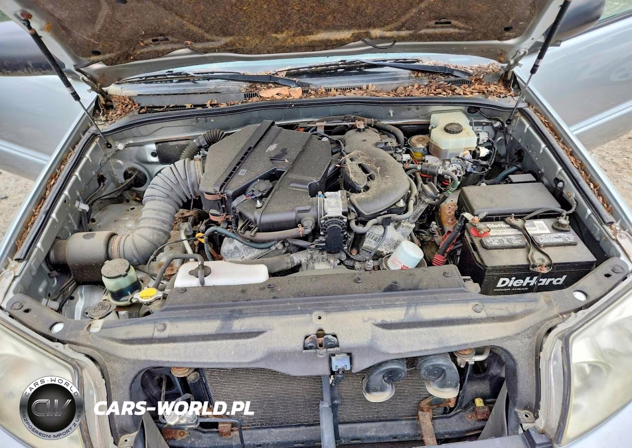 2004 Toyota 4Runner Sr5 VIN:JTEBU14R640050219 - 12