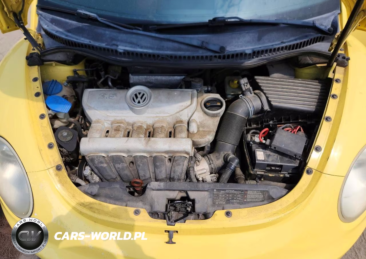 2010 Volkswagen New Beetle VIN:3VWPG3AG1AM010135 - 11