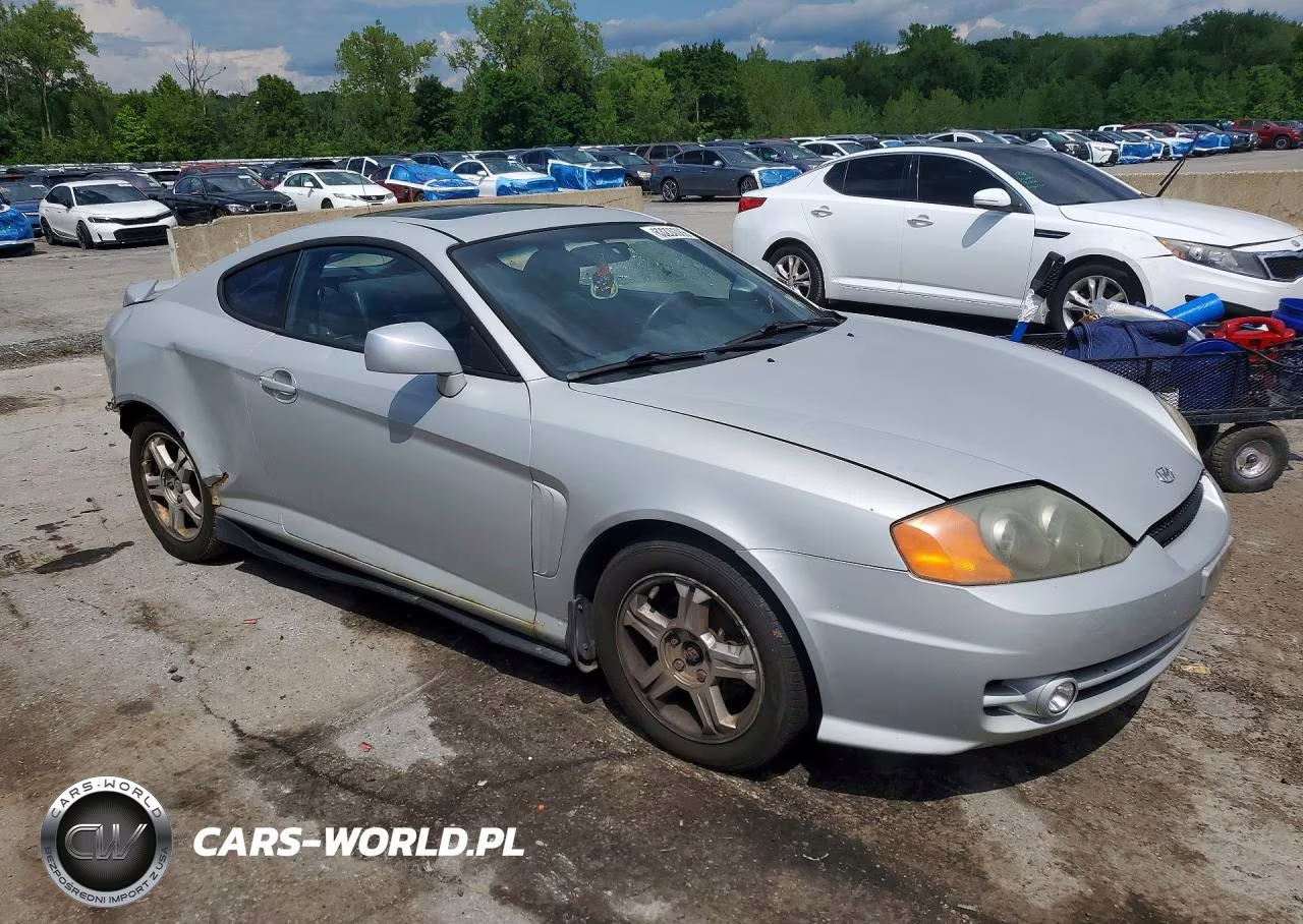 2003 Hyundai Tiburon Gt V6 VIN:KMHHN65F93U052126 - 4