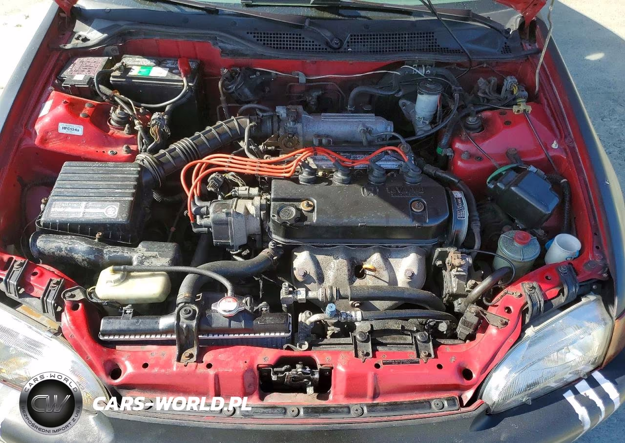 1995 Honda Civic Lx VIN:JHMEG865XSS030924 - 11
