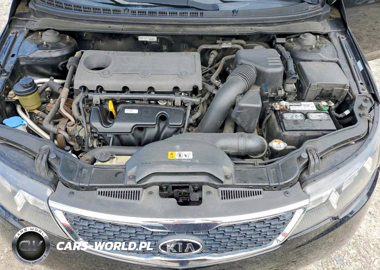 2013 Kia Forte5 Ex VIN:KNAFU5A28D5726576 - 11