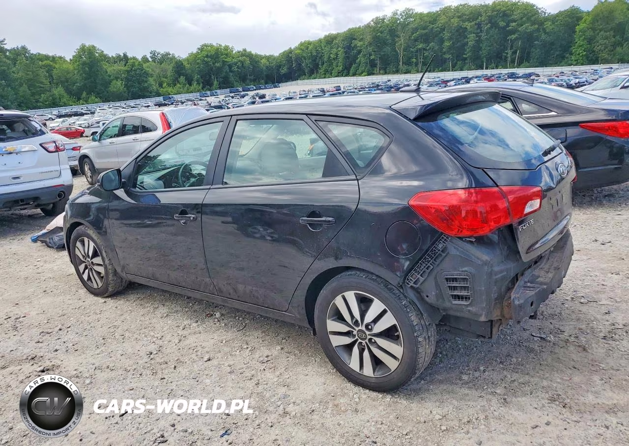 2013 Kia Forte5 Ex VIN:KNAFU5A28D5726576 - 2