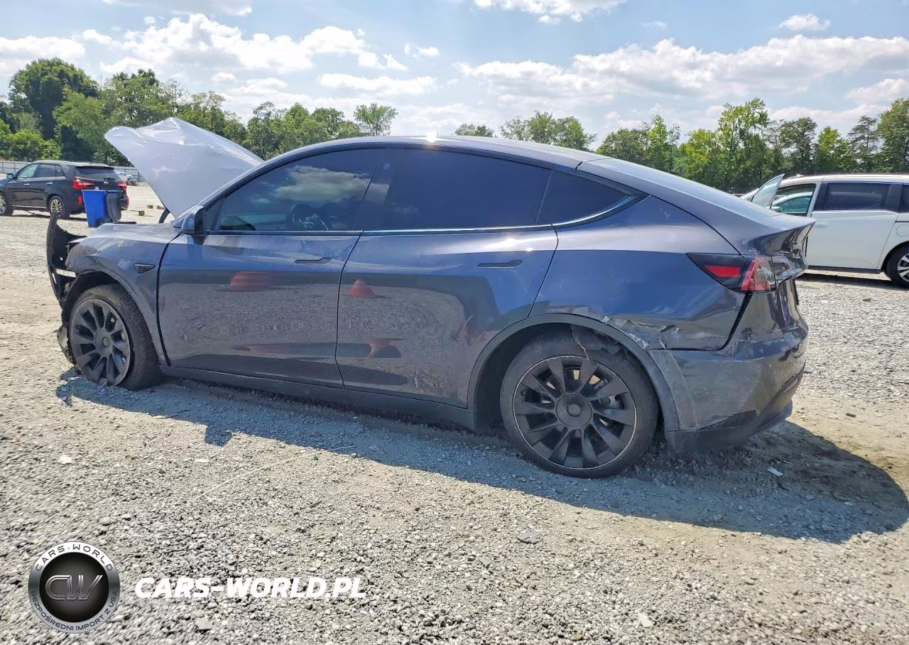 2022 Tesla Model Y VIN:7SAYGDEE0NA006223 - 2