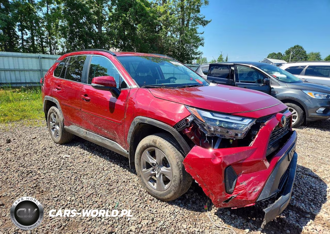 2024 Toyota Rav4 Xle VIN:2T3P1RFV6RW436380 - 4