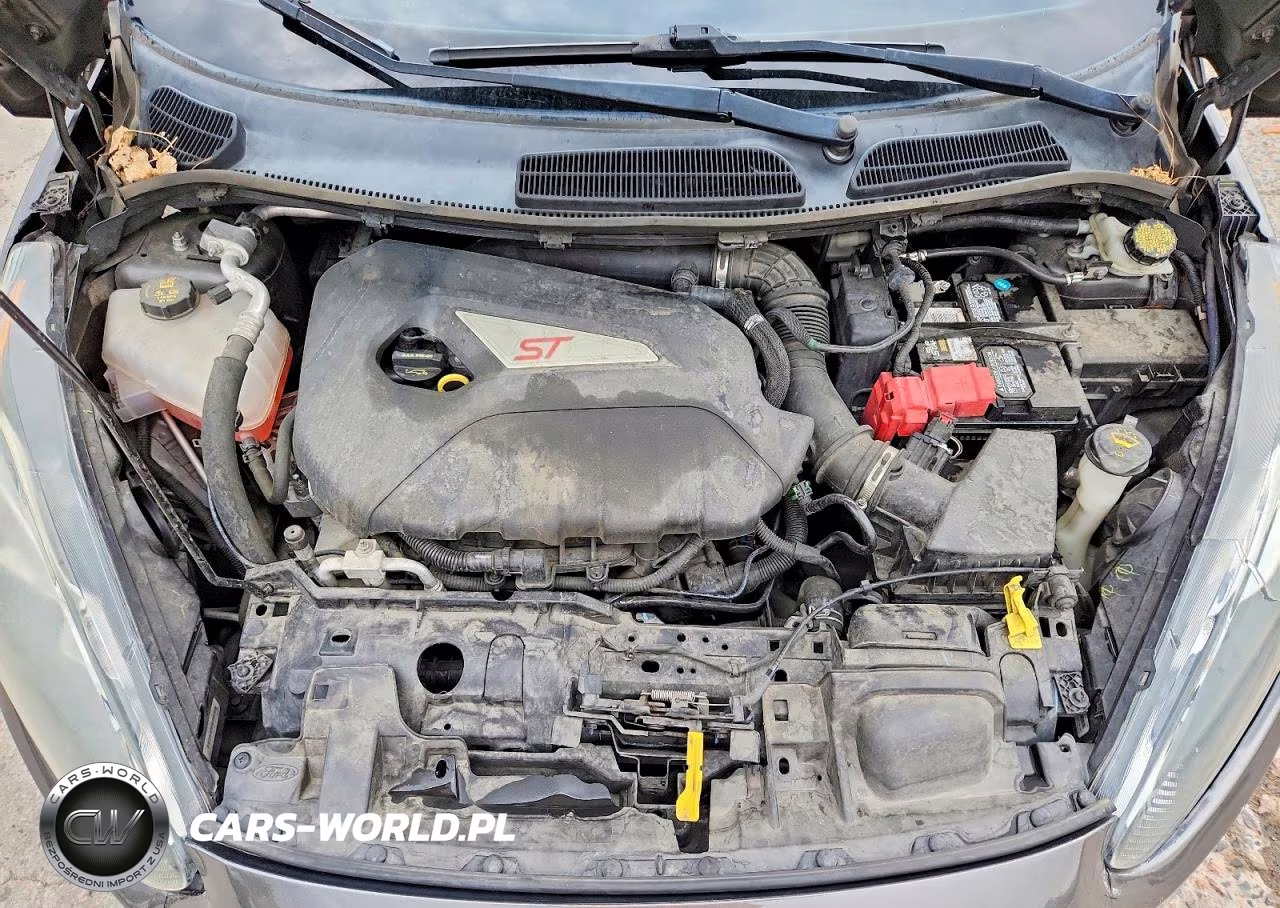 2017 Ford Fiesta St VIN:3FADP4GX9HM122488 - 11