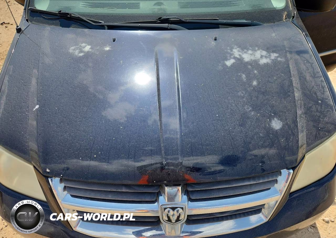 2010 Dodge Grand Caravan Sxt VIN:2D4RN5D16AR145384 - 11