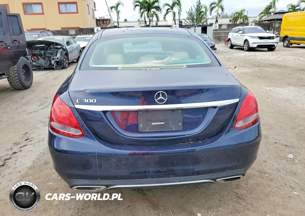 2016 Mercedes-Benz C 300 VIN:55SWF4JB7GU175095 - 6